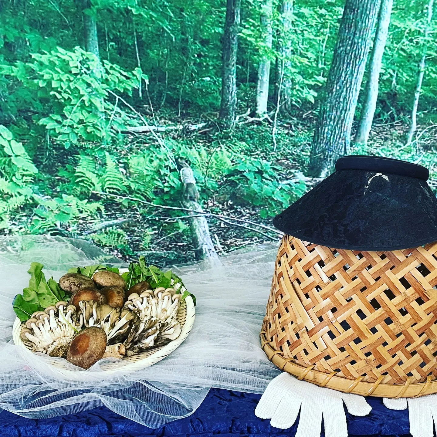 小山あんしん葬祭です。