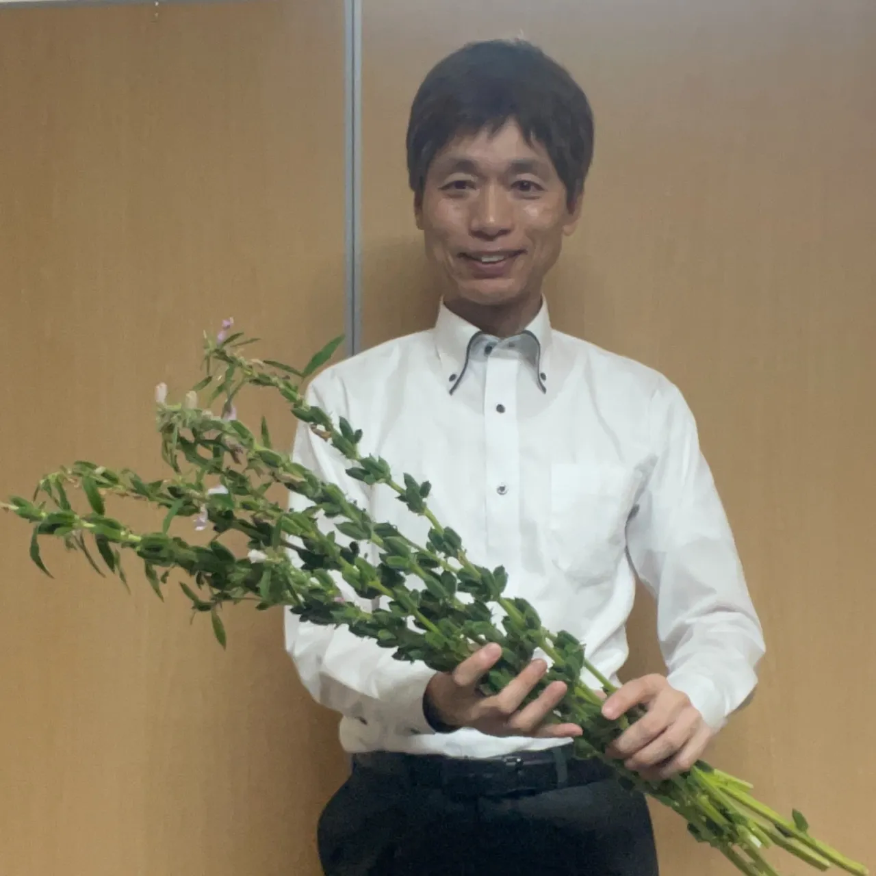 仕事の合間の、ちょっとした楽しみで胡麻をプランターに植えてみ...